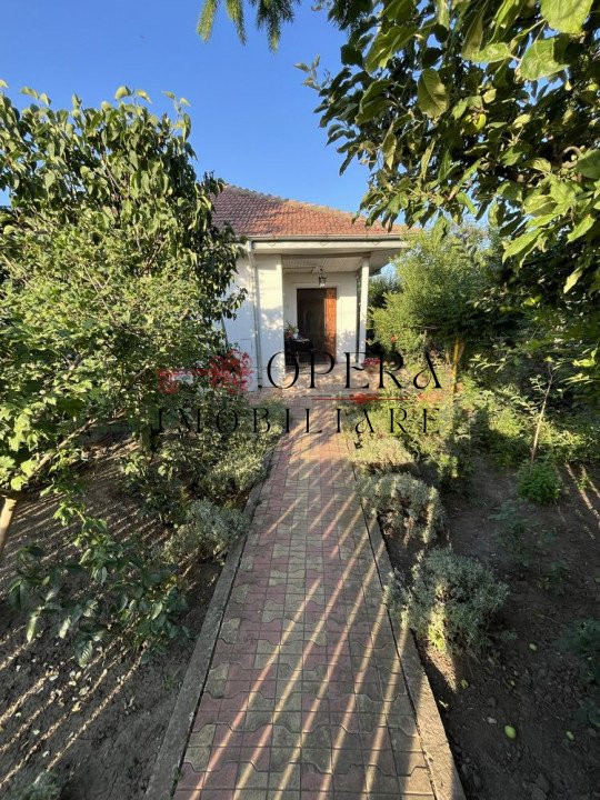 Casa si teren de vanzare Central-Popricani
