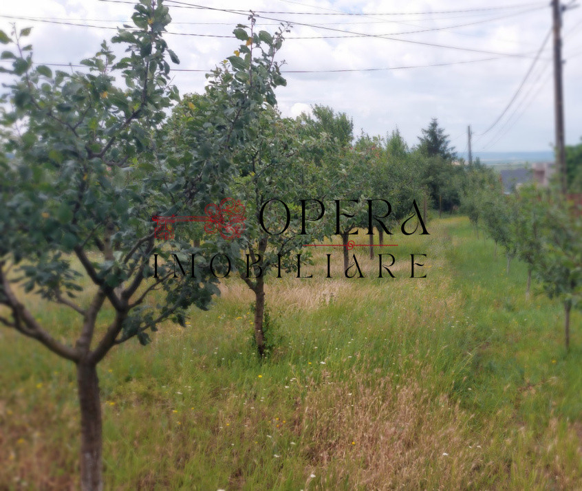 Oportunitate! Teren intravilan, 1178 m.p., de vanzare, Letcani - Iasi