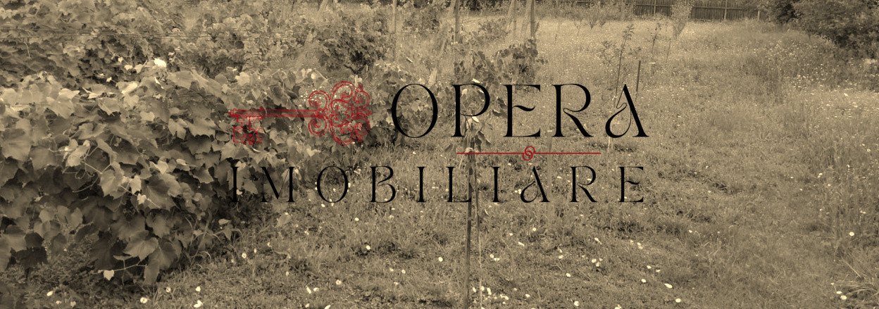 Oportunitate! Teren intravilan, 1178 m.p., de vanzare, Letcani - Iasi