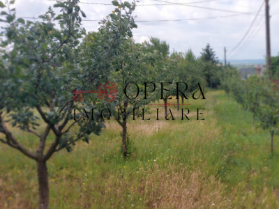 Oportunitate! Teren intravilan, 589 m.p., de vanzare, Letcani - Iasi