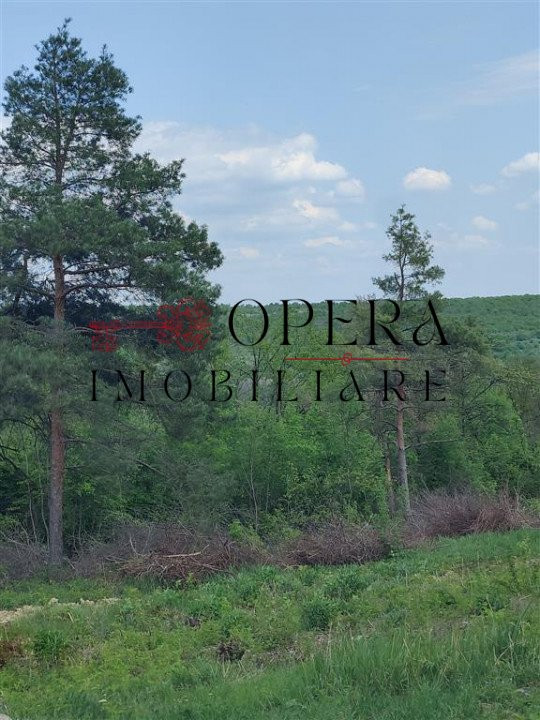 Teren intravilan, 1500 m.p., de vanzare, zona Copou