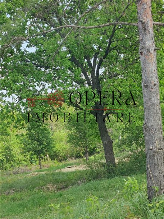 Teren intravilan, 1500 m.p., de vanzare, zona Copou