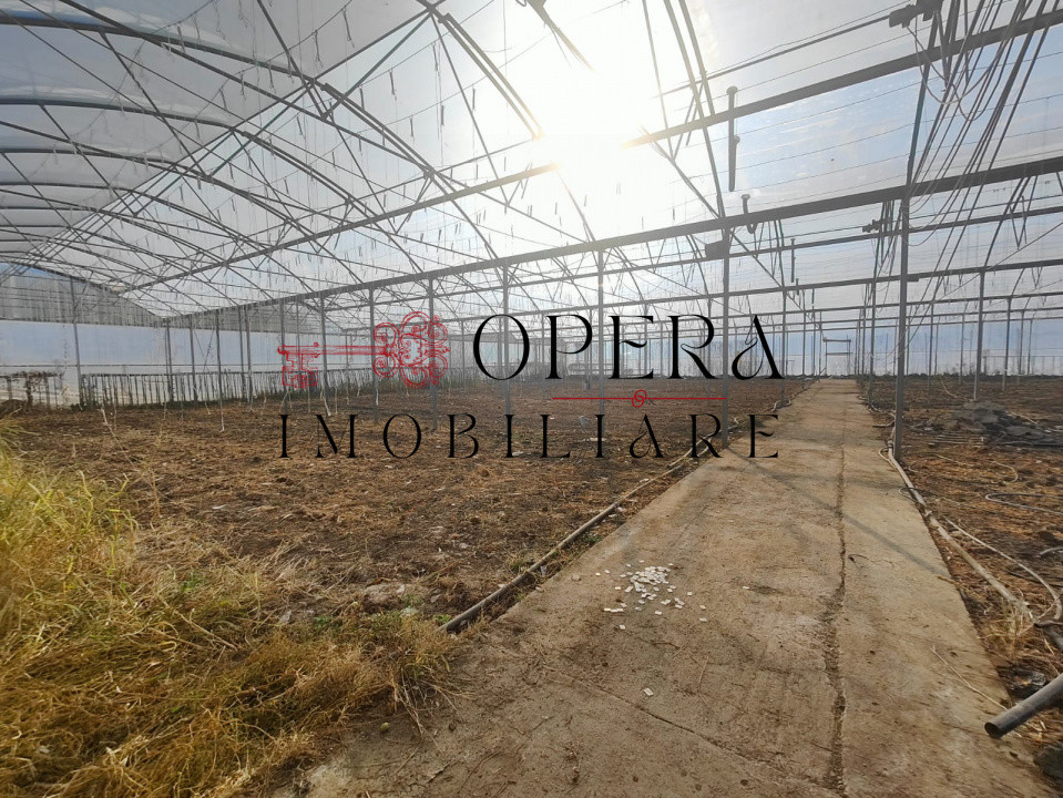 Teren intravilan 5000mp+Cladire265mp + Sera(2500mp), Rediu Aldei-Aroneanu