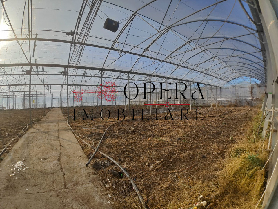 Teren intravilan 5000mp+Cladire265mp + Sera(2500mp), Rediu Aldei-Aroneanu