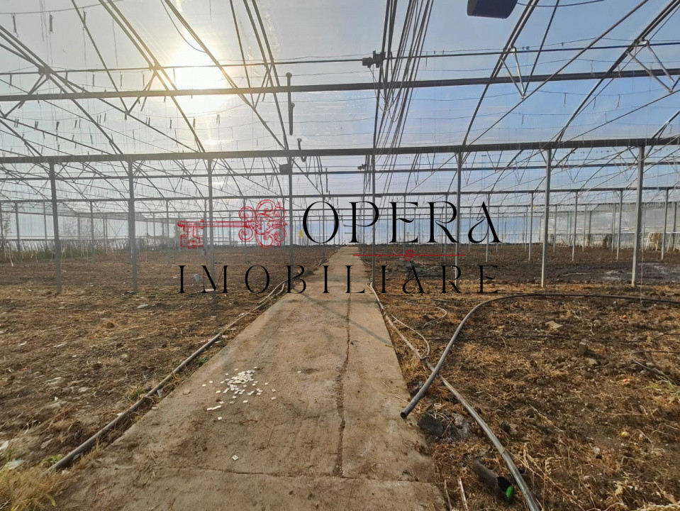 Teren intravilan 5000mp+Cladire265mp + Sera(2500mp), Rediu Aldei-Aroneanu