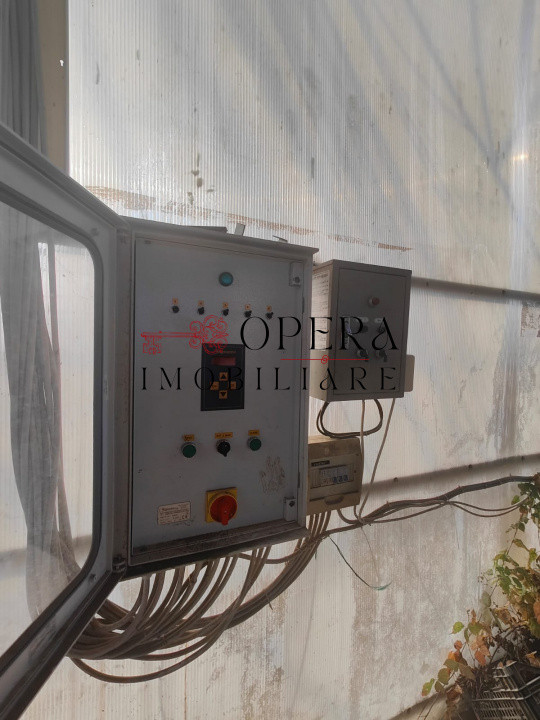 Teren intravilan 5000mp+Cladire265mp + Sera(2500mp), Rediu Aldei-Aroneanu