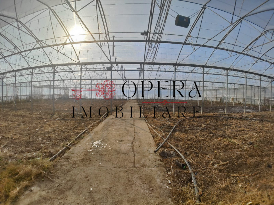 Teren intravilan 5000mp+Cladire265mp + Sera(2500mp), Rediu Aldei-Aroneanu