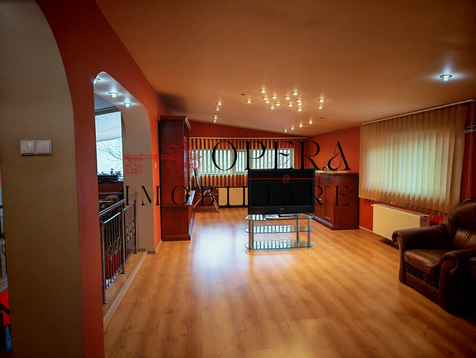  ​Vila de vanzare in Copou - Iasi / Reședință sau Clinică /D+P+1E