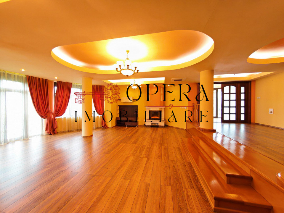 Vila individuala deosebita, de vanzare, zona Popas Pacurari