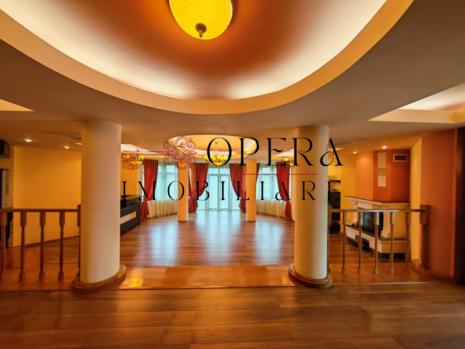 Vila individuala deosebita, de vanzare, zona Popas Pacurari