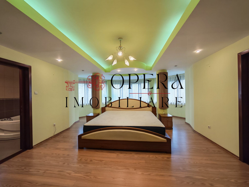 Vila individuala deosebita, de vanzare, zona Popas Pacurari