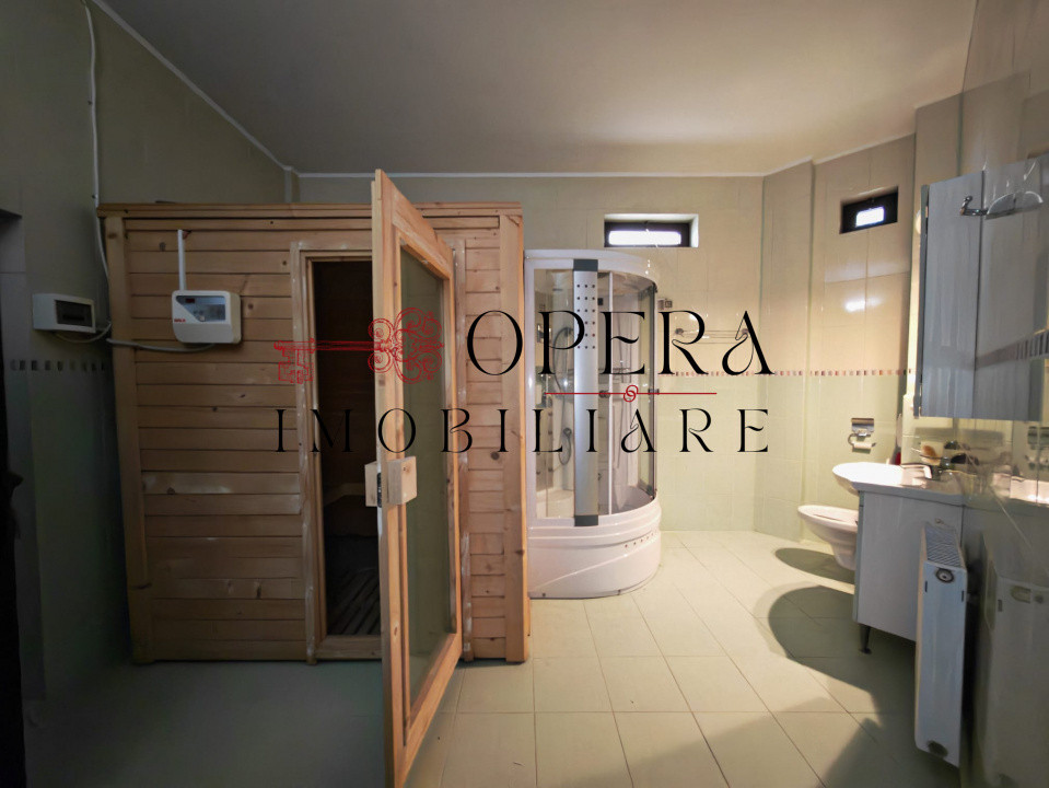 Vila individuala deosebita, de vanzare, zona Popas Pacurari