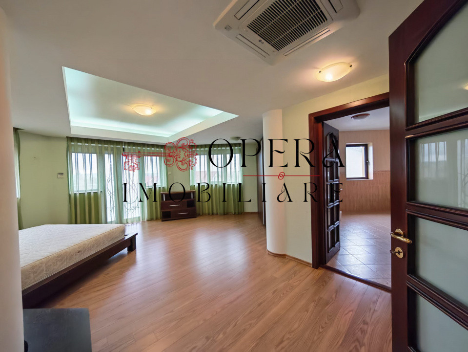 Vila individuala deosebita, de vanzare, zona Popas Pacurari