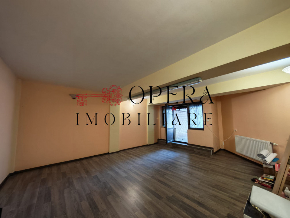 Vila individuala deosebita, de vanzare, zona Popas Pacurari